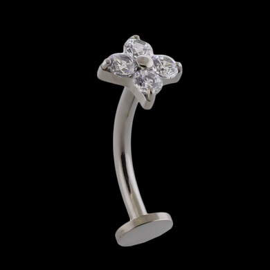 16G Titanium Curved Barbell w/ Fancy End