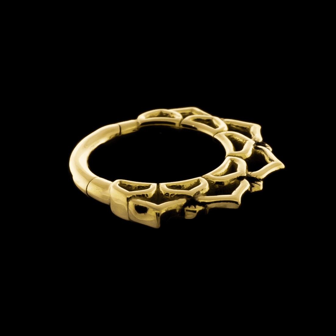 Ren- Hinged Ring - Khrysos Jewelry