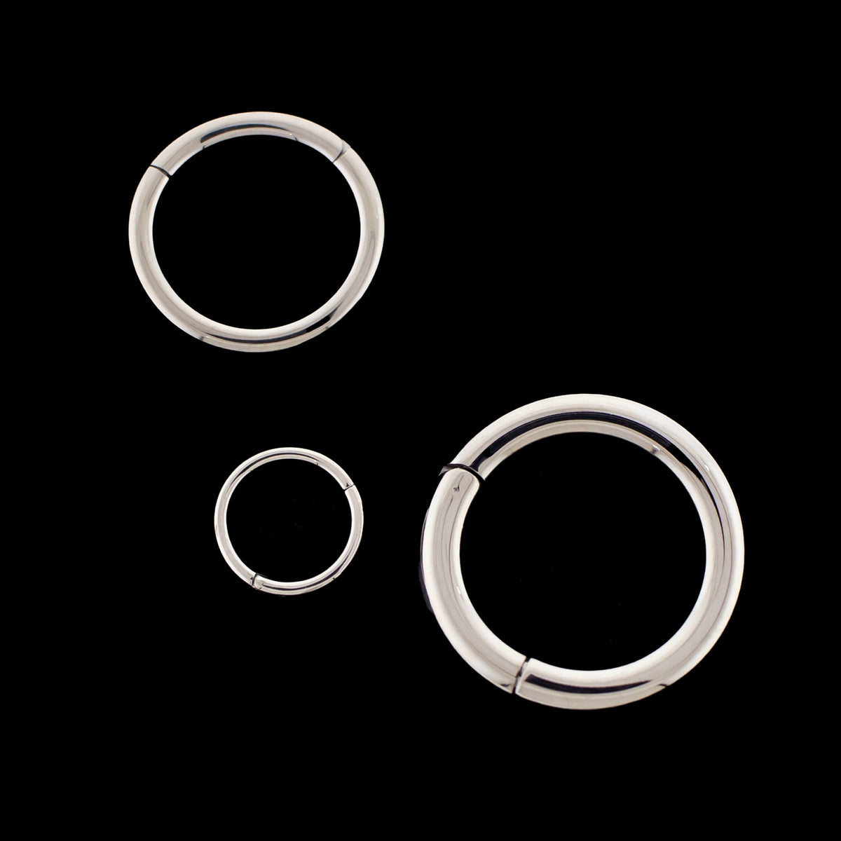 16G Titanium Hinged Segment Ring