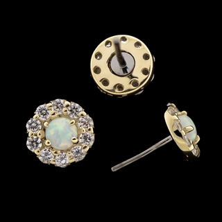 Liora - 14KT Gold Threadless End