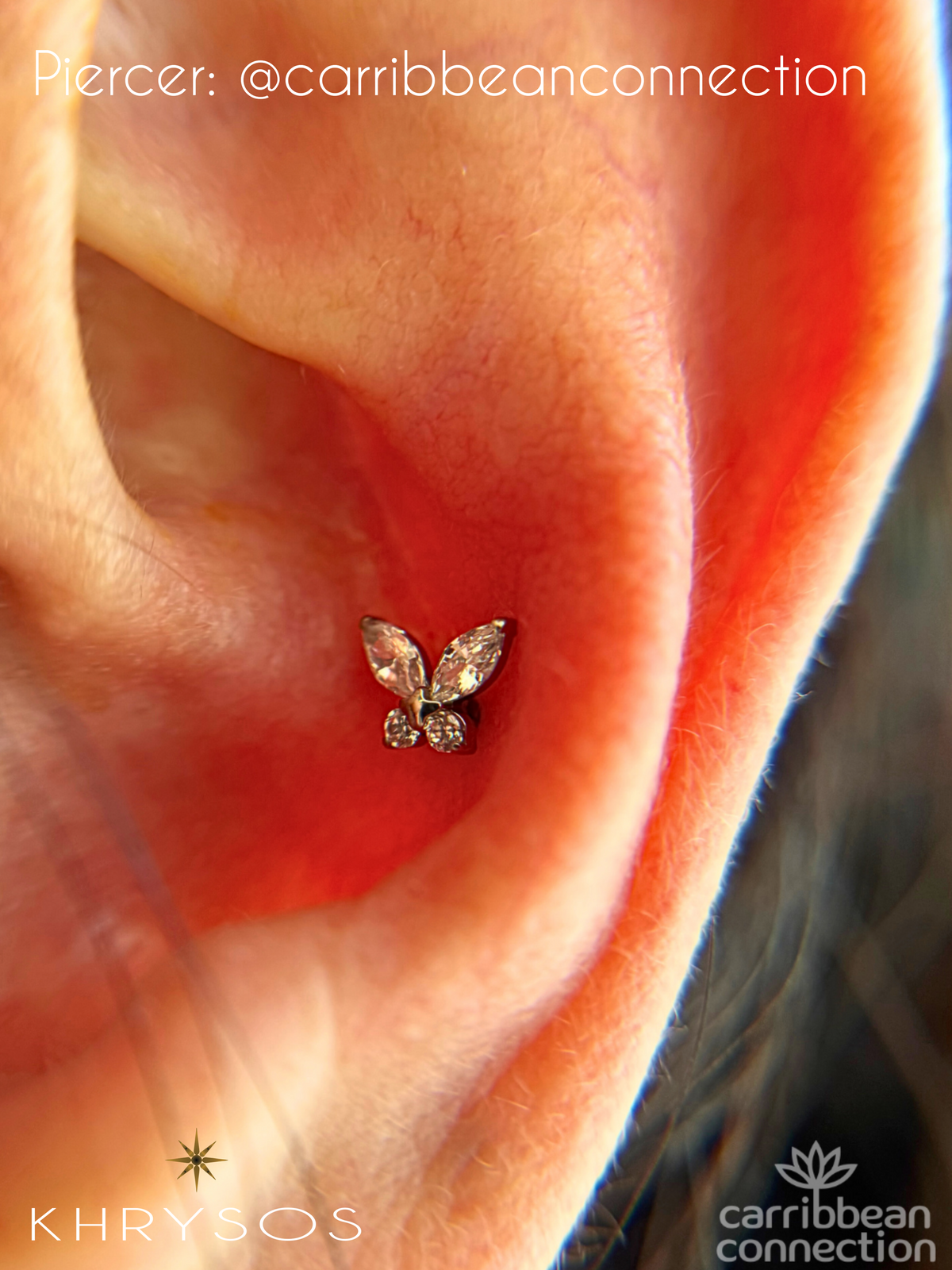 Phoebe - 16G Internally Threaded End - Khrysos Jewelry