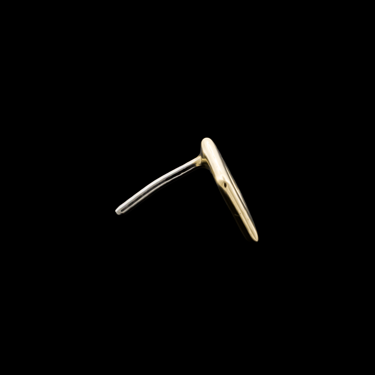 Side view of the gold threadless end