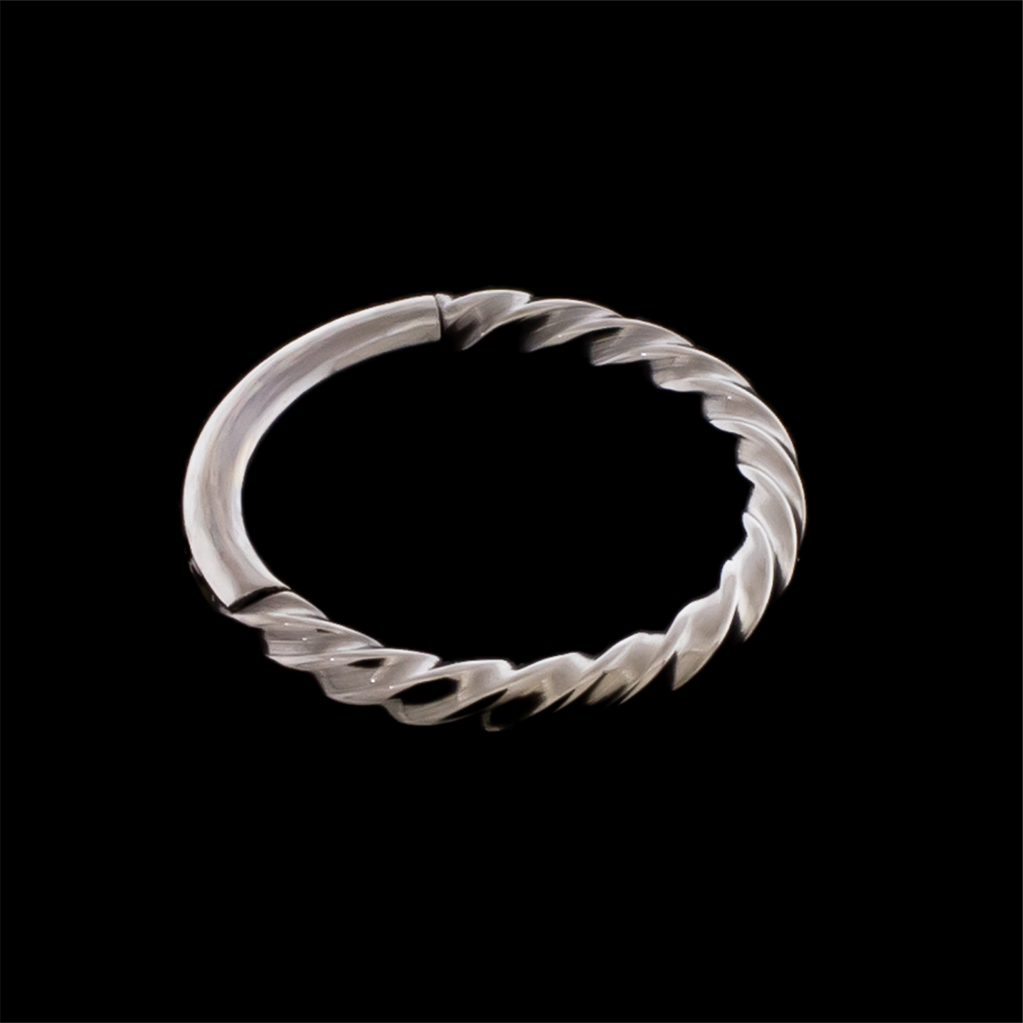 Nellie- Titanium Hinged Ring - Khrysos Jewelry